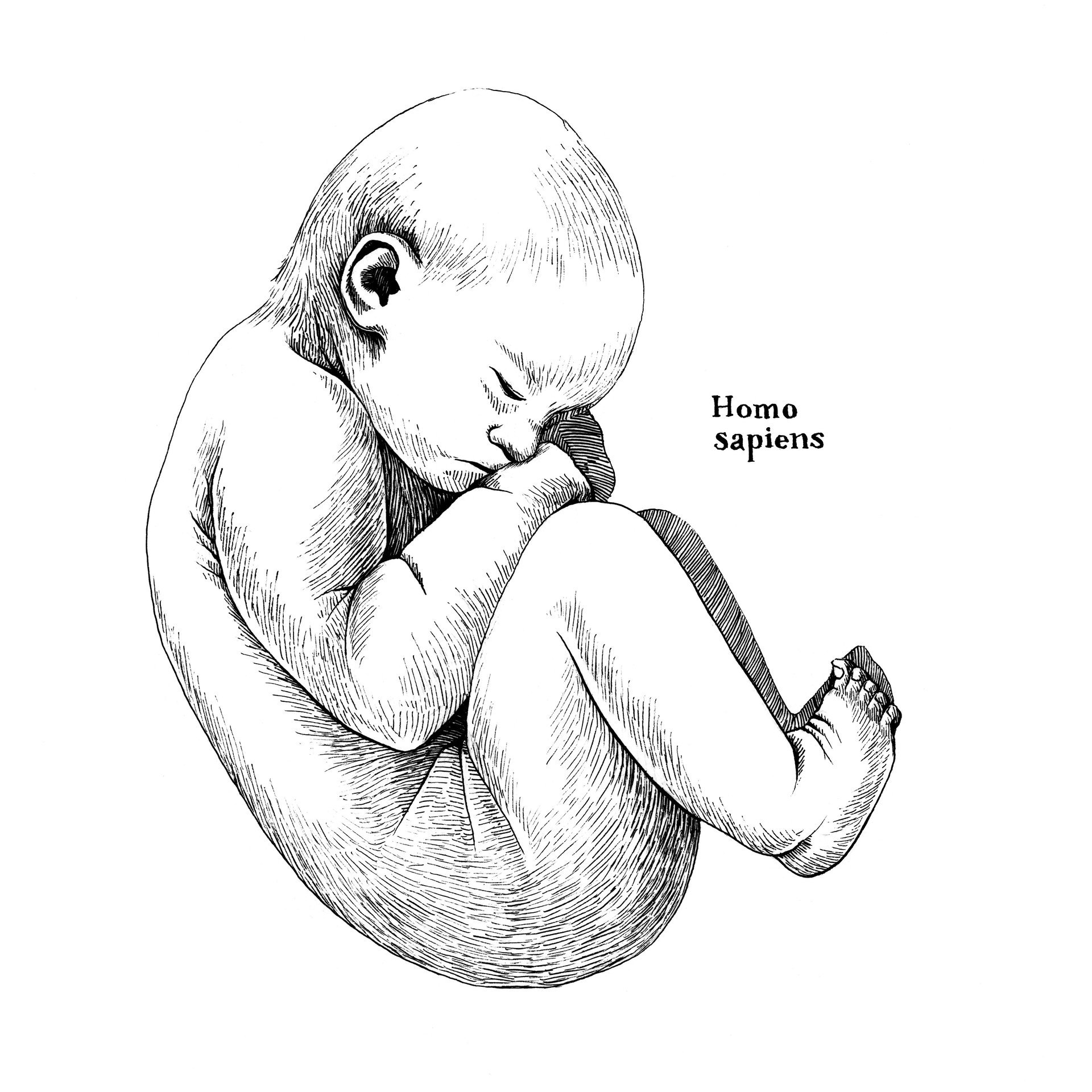 Humans: An Endangered Species